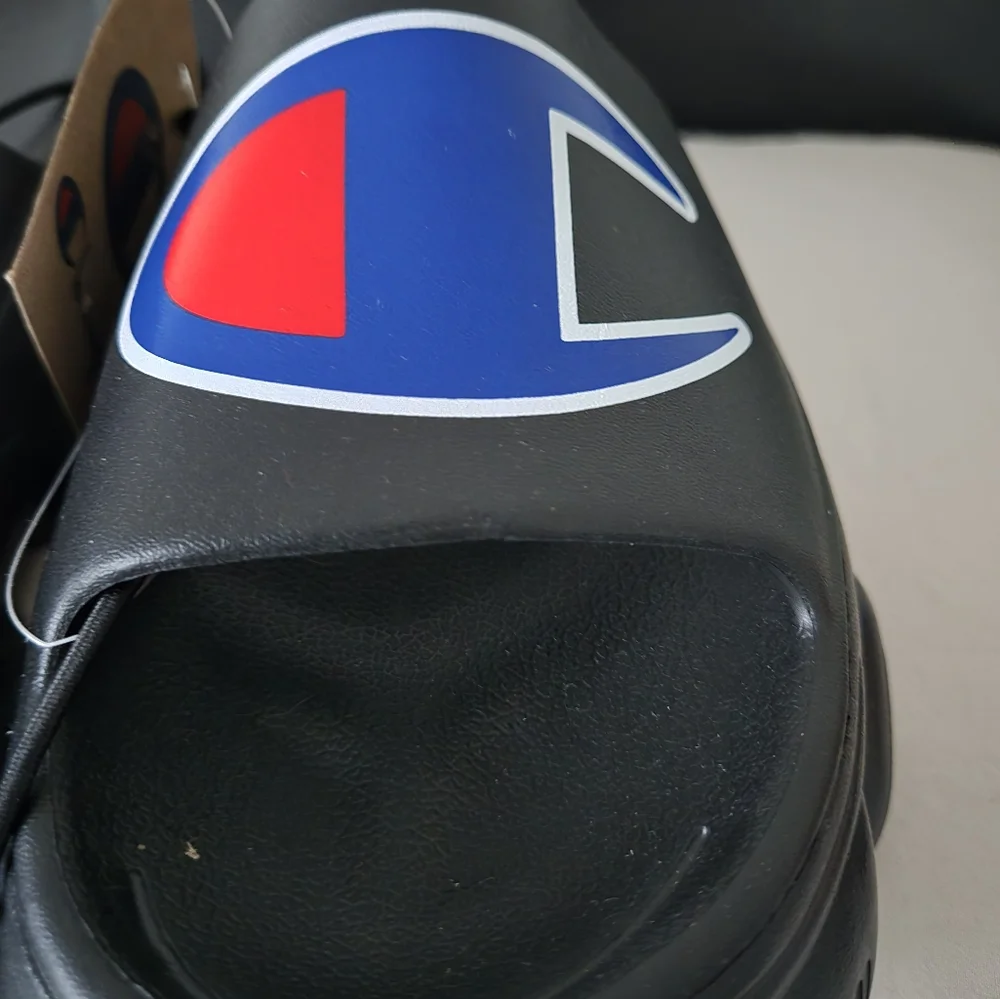 Champion Slides - Picture 5 of 6